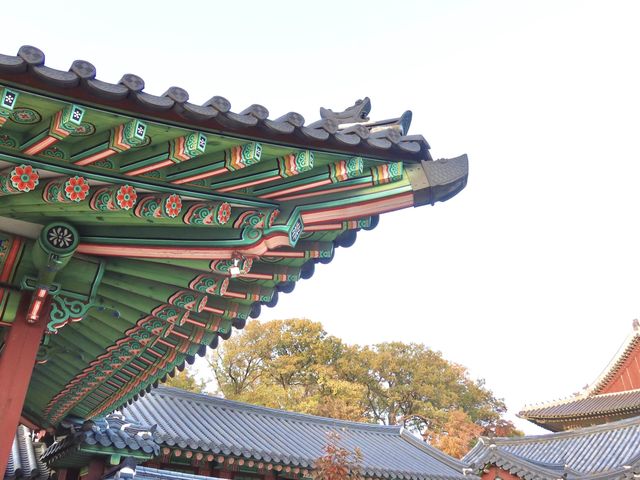한국의 전통미 가득한 궁궐투어 ‘창덕궁’