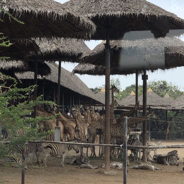 Safari World in Bangkok 🦒🐅🦓