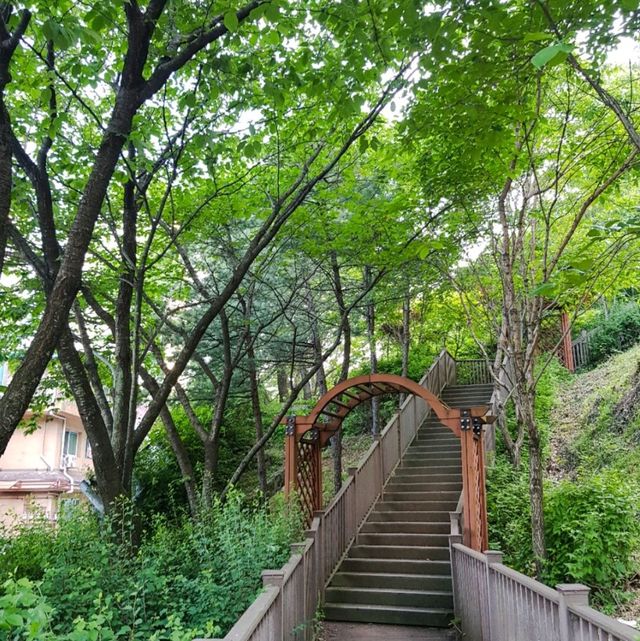 군포 수리산 피크닉