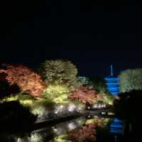 東寺🍁