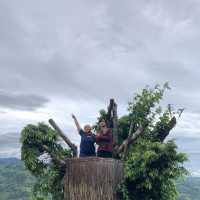 Beautiful Sirao - Garden of the South!