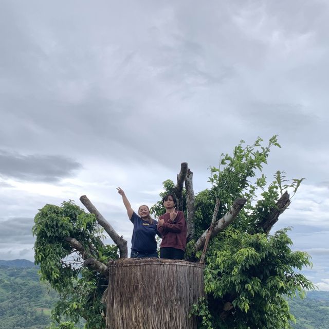 Beautiful Sirao - Garden of the South!
