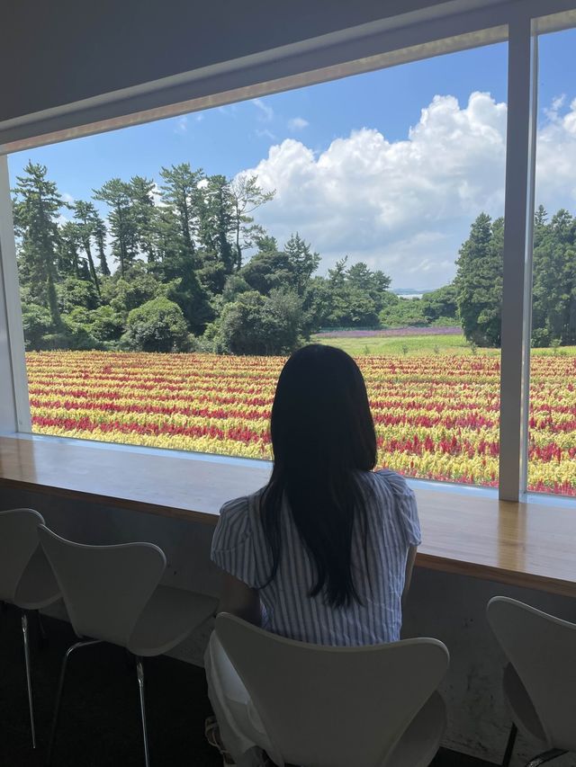 제주 동쪽 다양한 포토존이 있는 뷰좋은카페, 비케이브