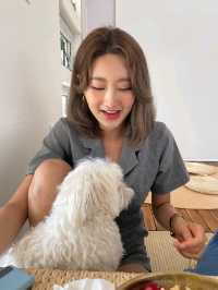 천안 애견동반카페 도펠하우스
