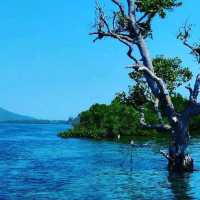BUNAKEN MARINE PARK, MANADO