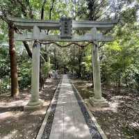 【清水町】柿田川公園