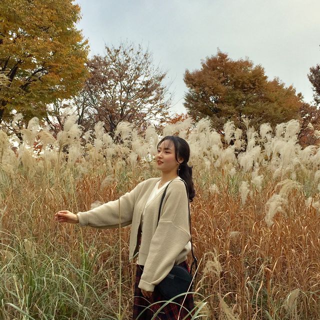 단풍과 억새가 기다려지는, 서울숲🍁
