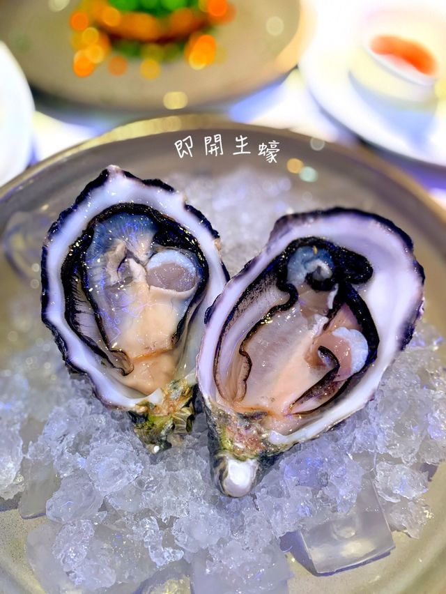 至Chill 的Pivo Czech Bar✨豬手必吃 