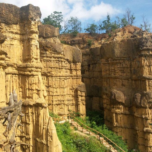 ผาช่อ@อุทยานแห่งชาติแม่วาง