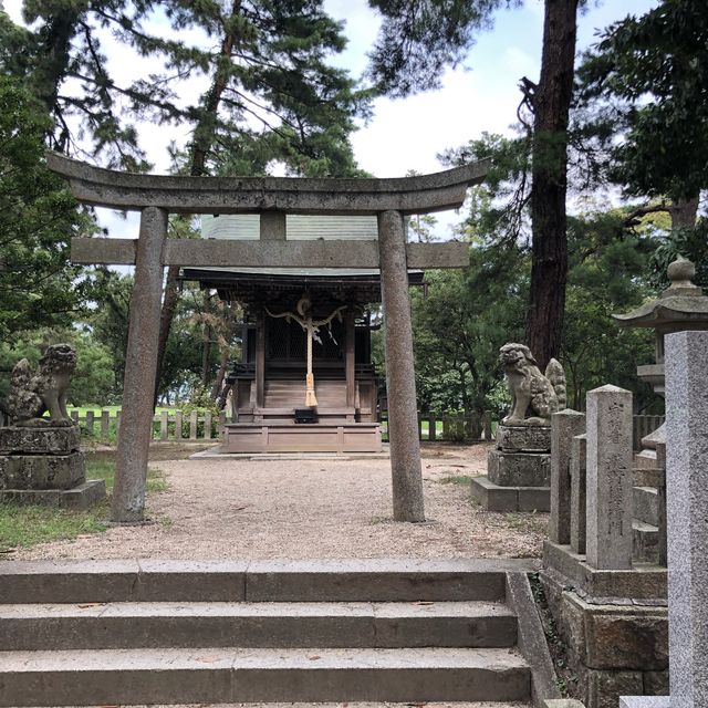 日本三景 天橋立