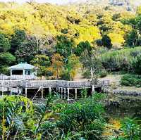 大嶼山龍仔悟園