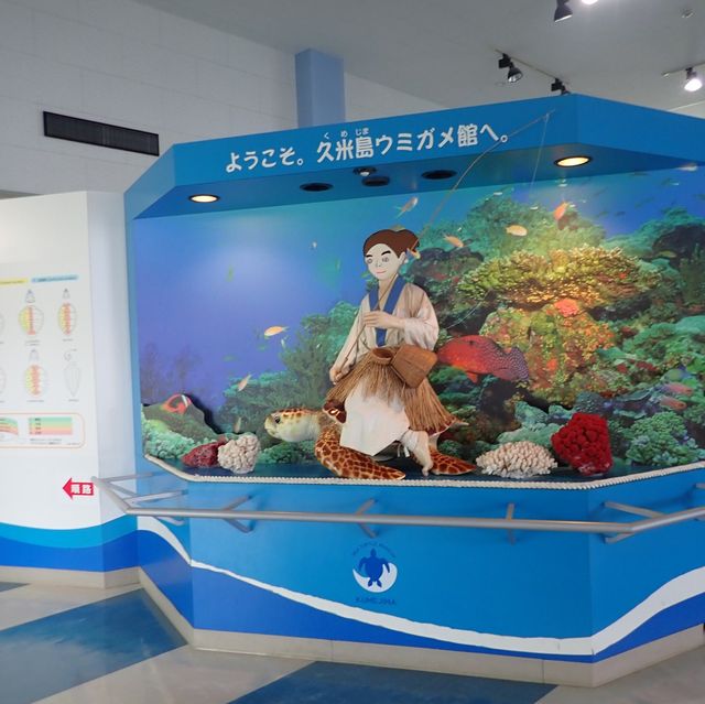 【沖縄･久米島】海に入らなくても会えるカメさん