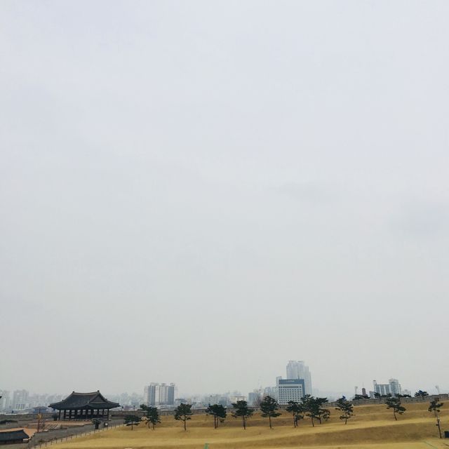 수원 행궁을 내려다 볼 수 있는 플라잉수원🎈