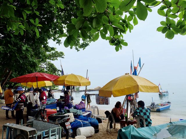 กินหมึกที่หาดลับพัทยา