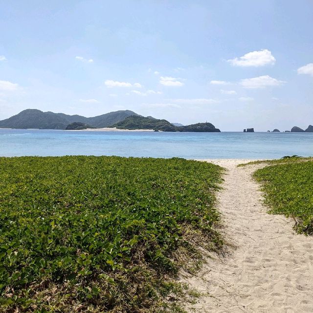 満潮時にはウミガメが見れる阿真ビーチに行ってみた 満潮時にはウミガメが見れる阿真ビーチに行ってみた