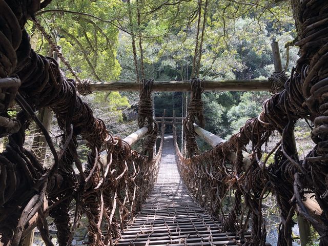 徳島の秘境にある絶景『かずら橋』
