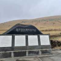 한라산뷰가 멋진 새별오름