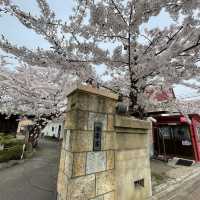 函館市五稜郭　星形の朱印の御朱印が貰えるお寺