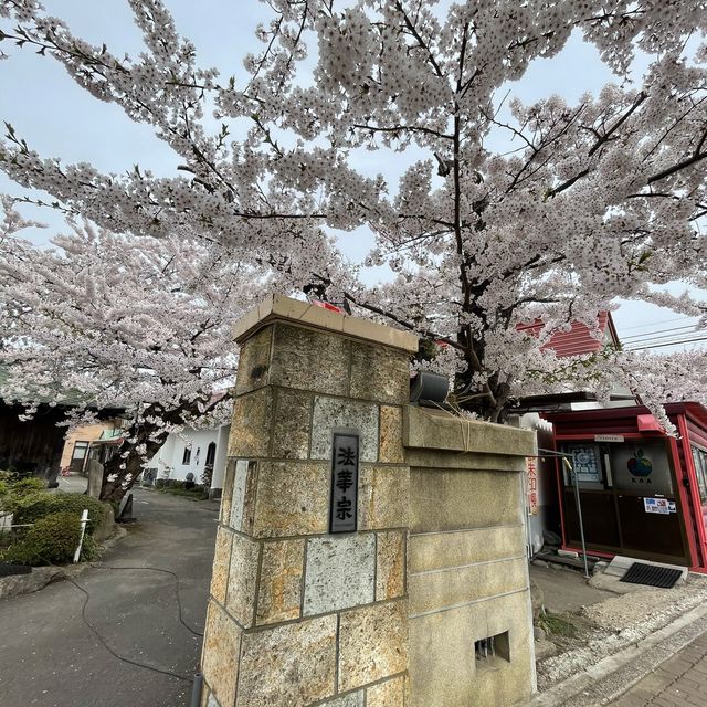 函館市五稜郭　星形の朱印の御朱印が貰えるお寺
