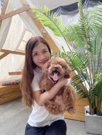 觀塘：Pet friendly 打咭cafe 