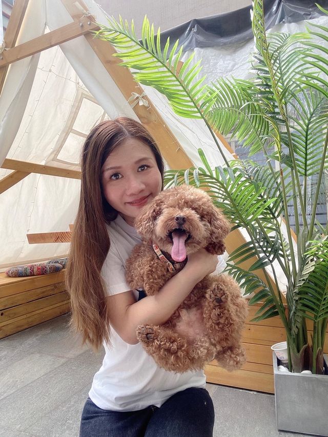 觀塘：Pet friendly 打咭cafe 