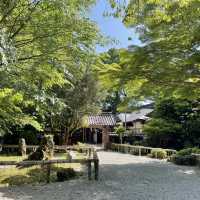 【奈良県】歴史的逸話が残された神社で思いを馳せる旅