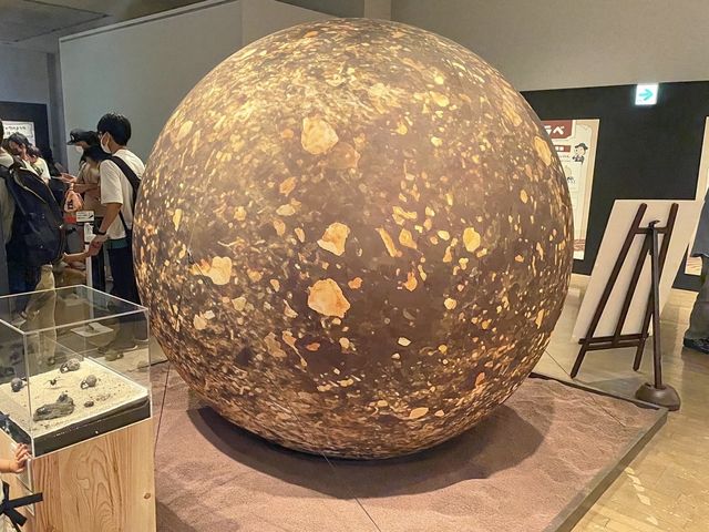 旧ボストン美術館【ファーブル昆虫展】①