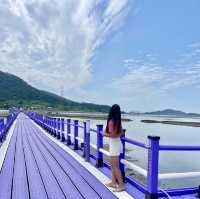 전남 신안의 퍼플섬 !! 보라보라마을 💜💜💜