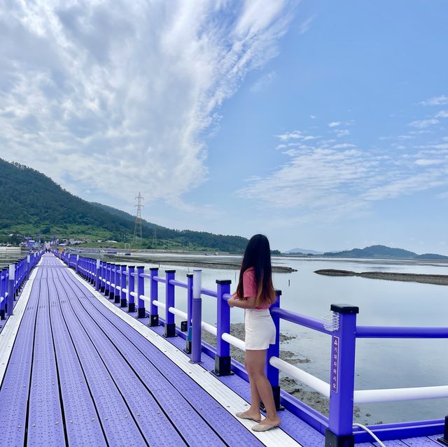 전남 신안의 퍼플섬 !! 보라보라마을 💜💜💜