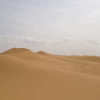 The Tengger Desert 