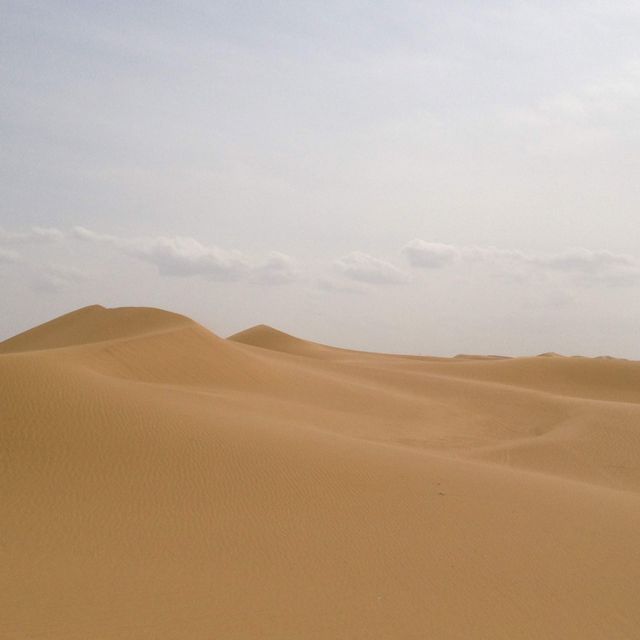 The Tengger Desert 