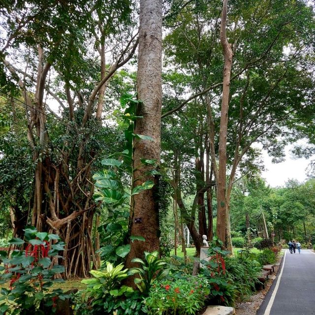 น้ำตกมวกเหล็ก สระบุรี