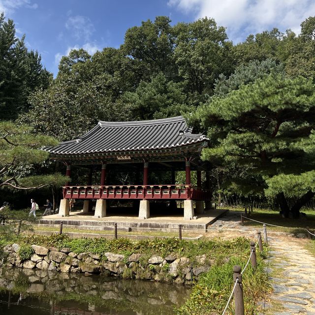가을에 꼭 가야하는 한국민속촌⭐️ 놀거리부터 맛집까지