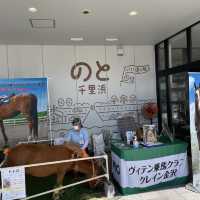 道の駅のと千里浜は金沢ドライブにオススメ！