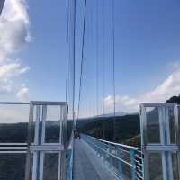 【静岡県】360℃絶景の吊橋へ！