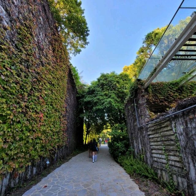 美麗如畫的濕地公園🏞
