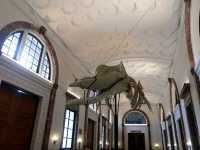 National Museum of Natural History