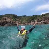 Beautiful coral in Redang Island!
