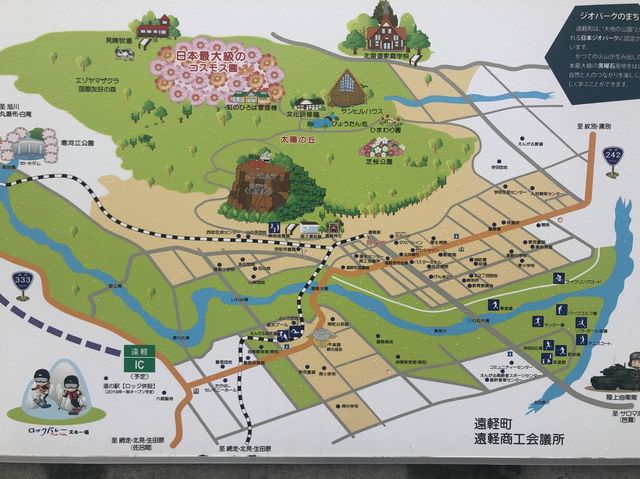 【遠軽】早秋を楽しめる！太陽の丘えんがる公園をご紹介