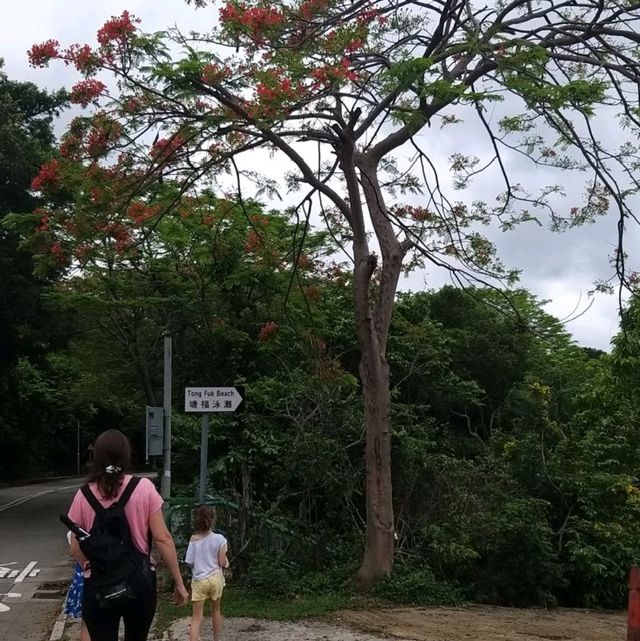 塘福半日遊
