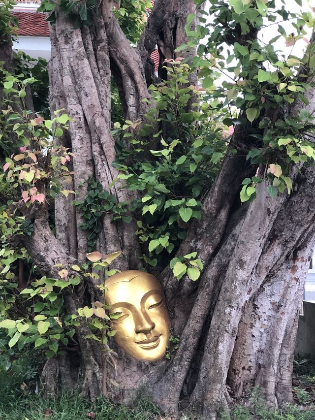 ค่ายธรรมมะวัดนามะตูม🙏🏻