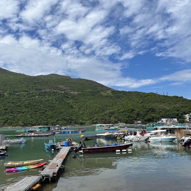 布袋澳度假风⛱️海鲜餐厅,鲜!香!平! 布袋澳度假风⛱️海鲜餐厅,鲜!香!平!