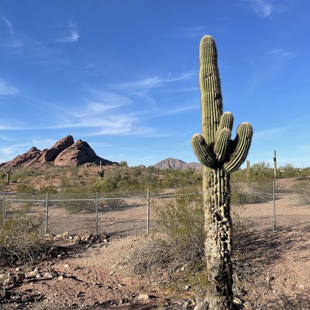 valley of the sun 
