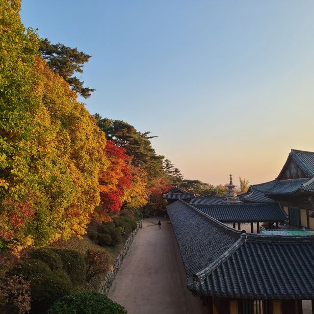 가을 단풍 명소 가을의 정취를 경주 불국사에서 느껴요🍁