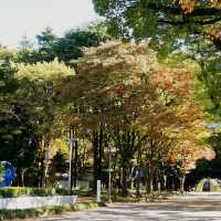 白川公園~藝術博物館