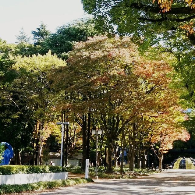 白川公園~藝術博物館