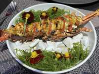 Fine Dining at Koral Aquarium Restaurant