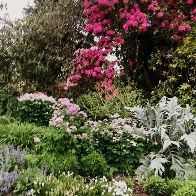 DUNEDIN BOTANIC GARDEN 