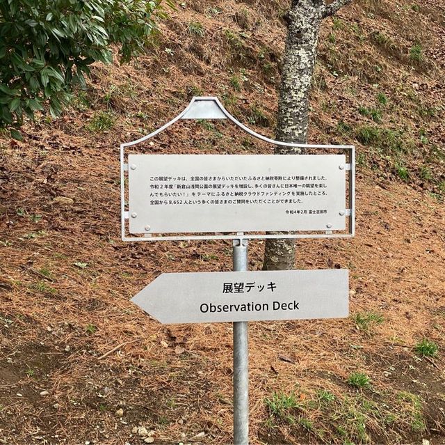 富士山絕景 新倉山淺間公園