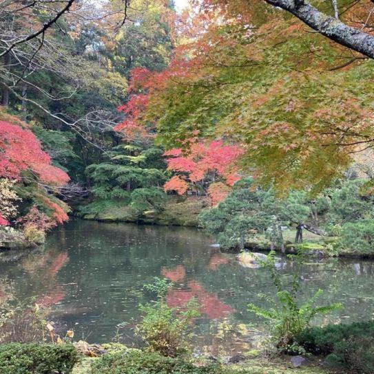 【千葉】成田山公園で見られる紅葉🍁